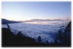 合法民宿,阿里山旅遊,阿里山住宿
